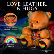 Picture of Pride Bear