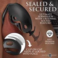 Picture of Captor Chastity Cage