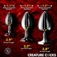 Picture of Sinister Eyes Red Eye Metal Butt Plug Set