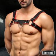 Picture of Leather English Bull Dog Harness Black/Red