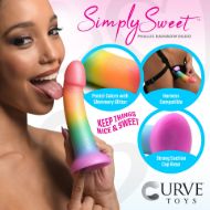Picture of Phallic Rainbow Silicone Dildo