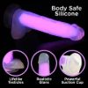 Picture of 7 Inch Glow-in-the-Dark Silicone Dildo with Balls - Pink