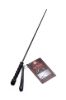 Picture of Isabella Sinclaire Intense Impact Cane