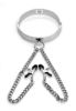 Picture of Isabella Sinclaire Slave Collar with Nipple Clamps