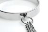 Picture of Isabella Sinclaire Slave Collar with Nipple Clamps