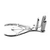 Picture of Isabella Sinclaire Anal Speculum