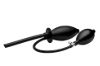 Picture of Isabella Sinclaire Inflatable Enema Plug