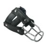 Picture of Strict Leather Stallion Guard