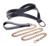 Picture of Black and Gold Collar with Leash Kit