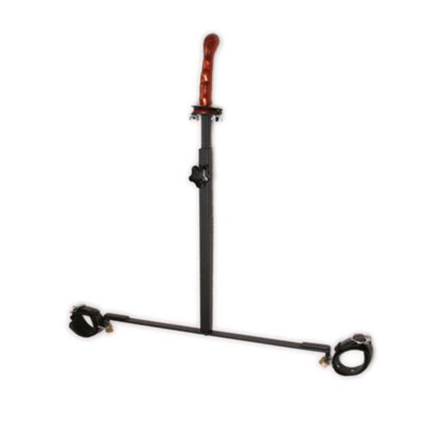 Picture of The Anal Impaler