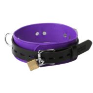 Picture of Strict Leather Deluxe Locking Collar - Purple and Black