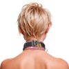 Picture of Strict Leather Deluxe Locking Collar - Pink and Black