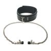 Picture of Coveted Collar and Clamp Union