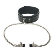 Picture of Coveted Collar and Clamp Union