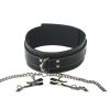 Picture of Coveted Collar and Clamp Union
