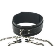 Picture of Coveted Collar and Clamp Union