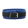 Picture of Blue Mid-Level Leather Collar