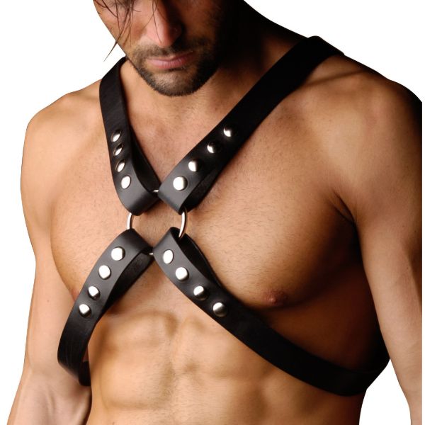 Picture of Strict Leather 4 Strap Chest Harness - SM