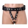 Picture of The Strict Leather Premium Leather Strap-On Harness