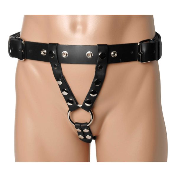 Picture of Double Penetration Premium Leather Dildo Harness for Men