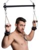 Picture of Levitate Suspension Bar