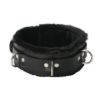 Picture of Strict Leather Premium Fur Lined Locking Collar- SM