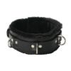Picture of Strict Leather Premium Fur Lined Locking Collar- XL