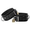 Picture of Strict Leather Deluxe Locking Wrist Cuffs