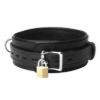 Picture of Strict Leather Premium Locking Collar