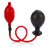 Picture of Colt Expandable Butt Plug