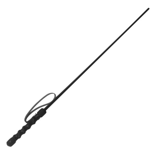 Picture of Intense Impact Cane- Black