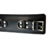 Picture of Strict Leather Padded Premium Locking Ankle Restraints